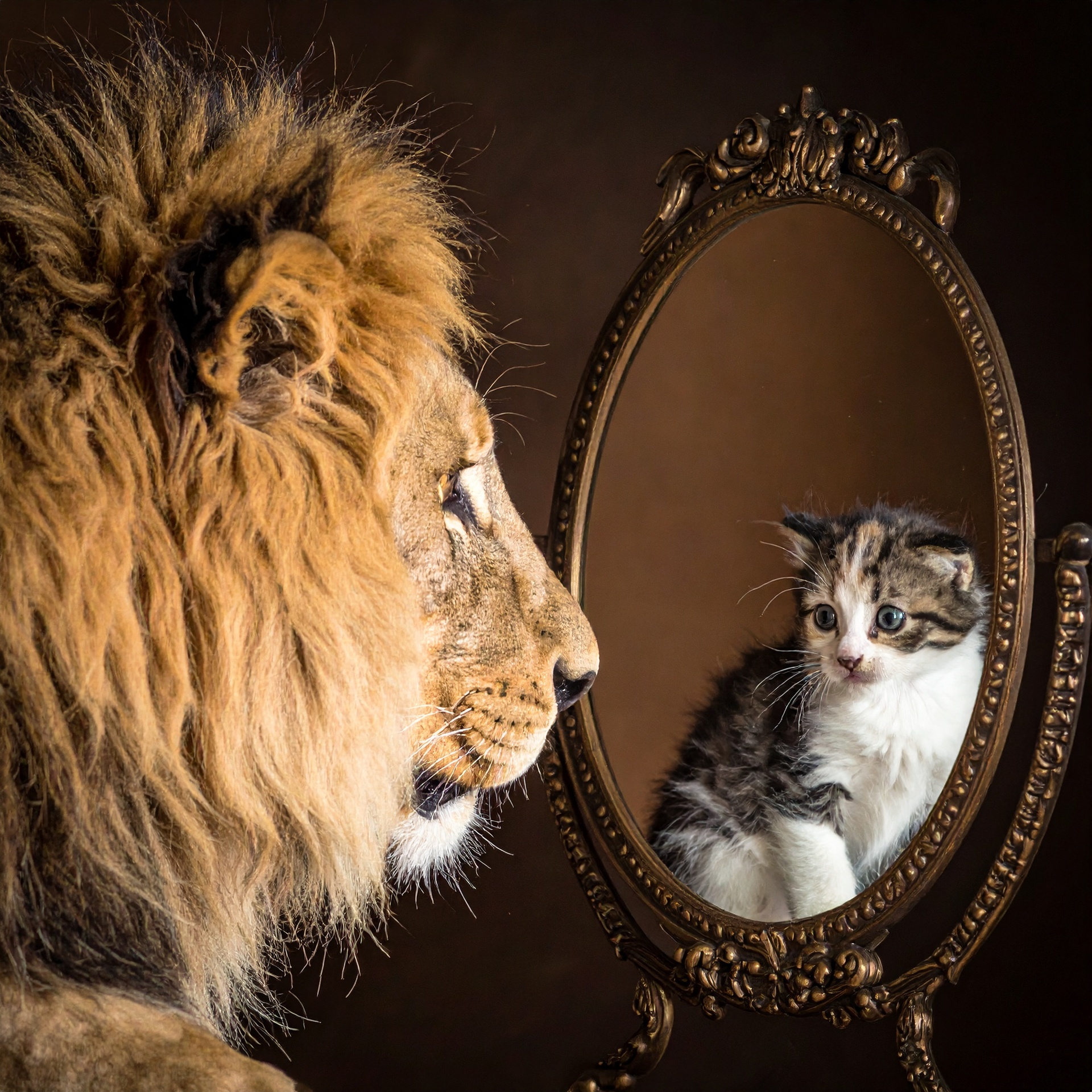 How counselling can help with self-criticism, low confidence and self-esteem